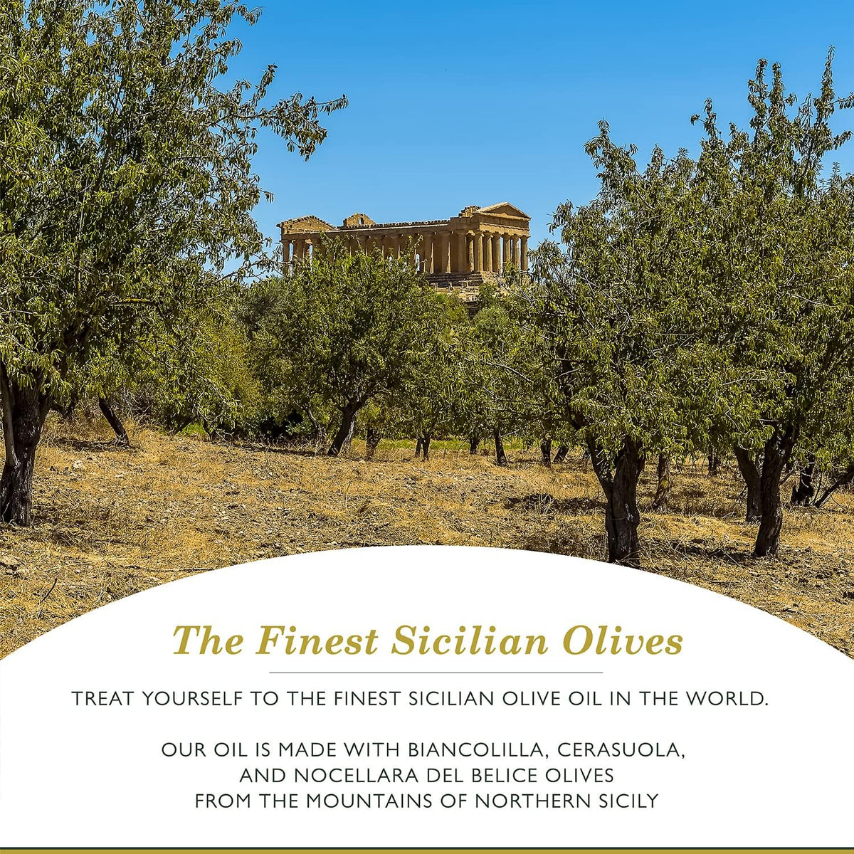 Frantoia Extra Virgin Olive Oil from Italy - Fruity, Unfiltered, Cold Extracted Authentic Sicilian Olive Oil - Fresh Harvest, Imported From Italy - 33.8 fl oz